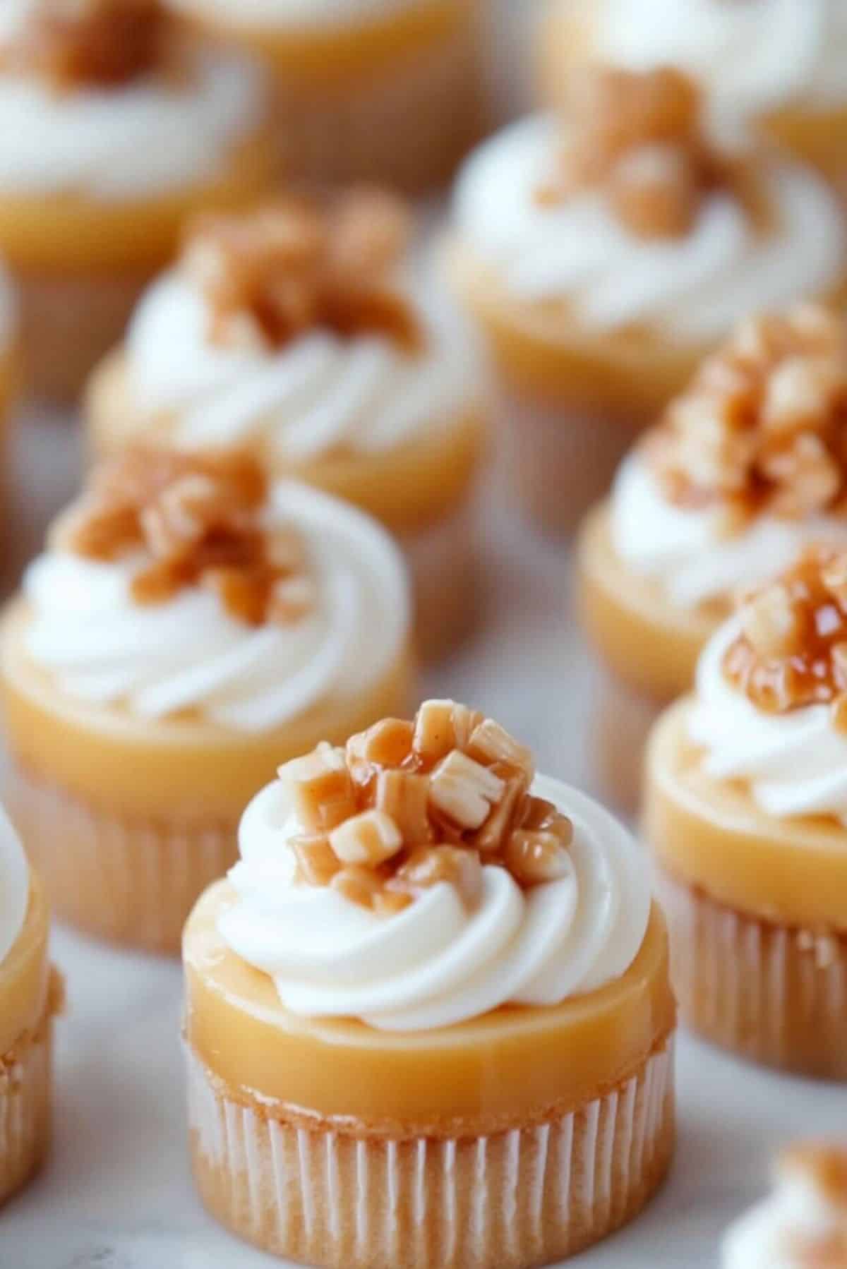 No-Bake Mini Dulce de Leche Cheesecakes – The Easiest Sweet Treat You'll Love!