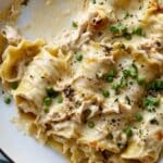 These Chicken Alfredo Lasagna Roll-Ups Are What I Make When I Want Cozy and Creamy Without the Fuss