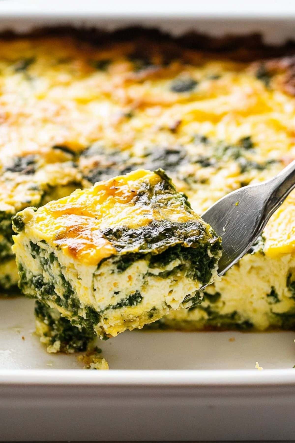 Cottage Cheese Egg Bake – The Perfect Breakfast or Brunch