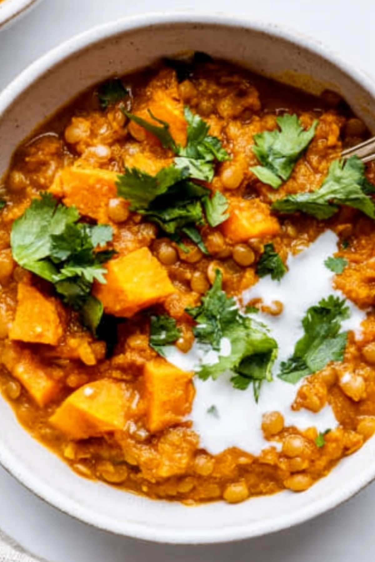 Red Lentil Sweet Potato Curry