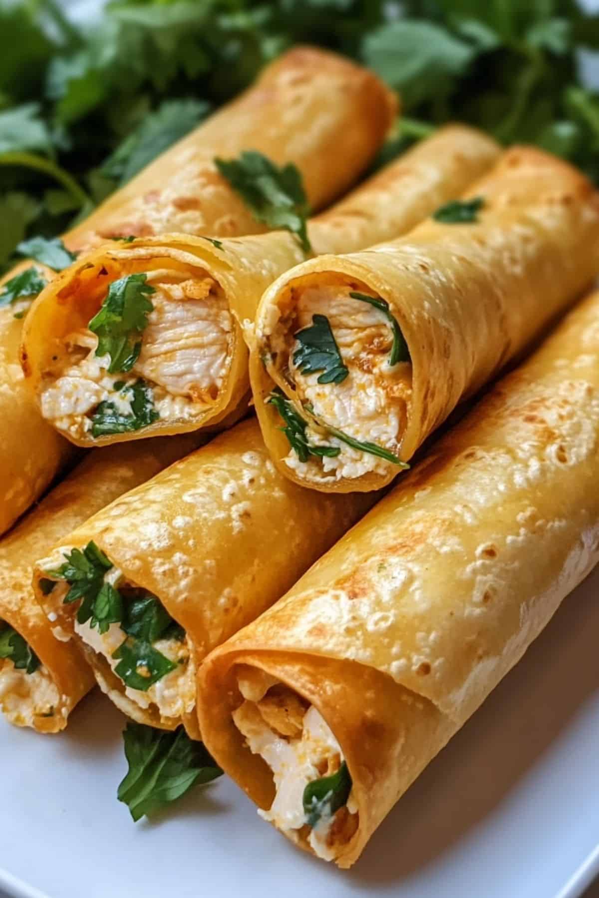 Crispy Chicken Taquitos – The Perfect Crunchy Snack