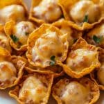 Iowa Party Bites – The Perfect Appetizer for Any Gathering